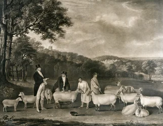 Porträt von Thomas William Coke, Esq. (1752-1842), inspiziert einige seiner South Down Schafe mit Mr. Walton und den Holkham-Schäfern, graviert von William Ward (1766-1826), 1808